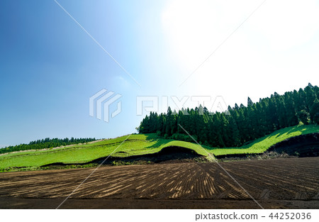 矢野村落戶地區 矢野村落戶地區 44252036