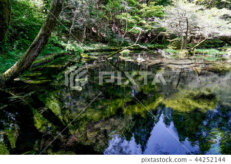 Yamabuki water source 44252144