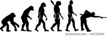 Pool Evolution 44252684