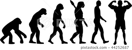 Evolution Body Building 44252687