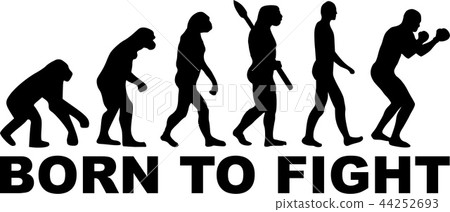 Boxer Evolution Born to Fight 44252693