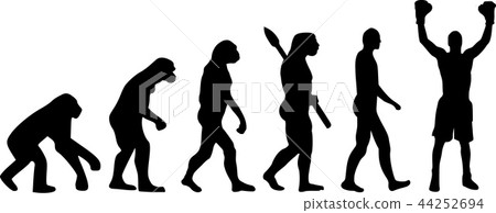 Boxer Evolution Champion 44252694