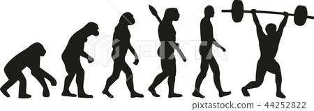 Weight Lifting Weight Lifting 44252822