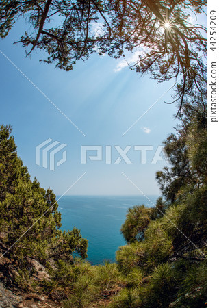 Beauty nature landscape Crimea 44254209
