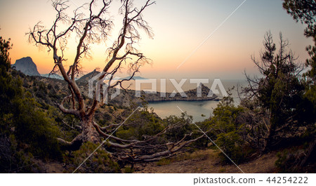 Beauty nature landscape Crimea 44254222