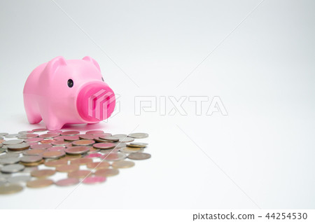 Pink and money 44254530