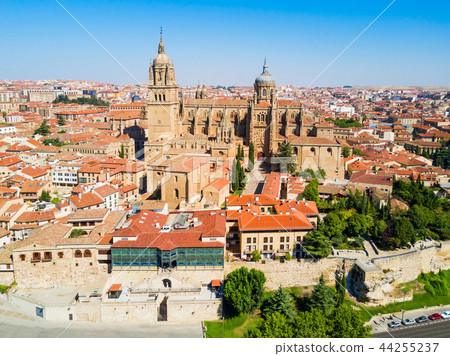 Salamanca Cathedral in Salamanca, Spain 44255237