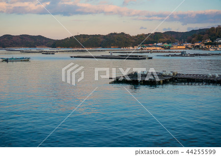 黃昏的三重縣鳥羽市 44255599