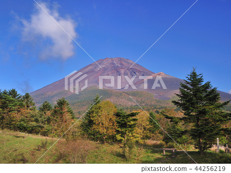 Mizugazuka Autumn leaves and Mt. Fuji-4302 44256219