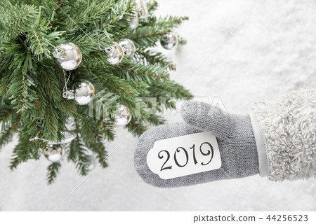 Green Christmas Tree, Gray Glove, Text 2019 44256523