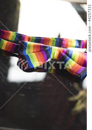Gay lesbian LGBT bow tie Gay lesbian LGBT bow tie 44257331
