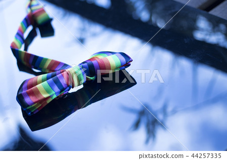 Gay lesbian LGBT bow tie Gay lesbian LGBT bow tie 44257335