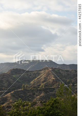 Hollywood board 44257885