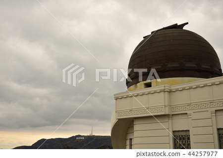 Hollywood board 44257977