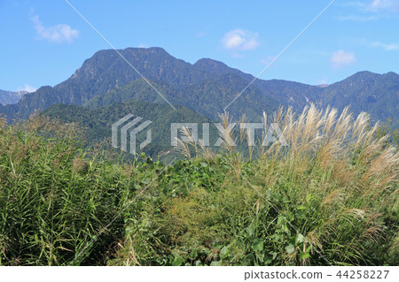 Azumino Matsukawa Ariake山麓落下 44258227