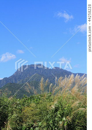 Azumino Matsukawa Ariake山麓落下 44258228