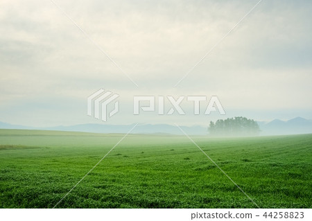 Asaka Plateau landscape Asaka Plateau landscape 44258823