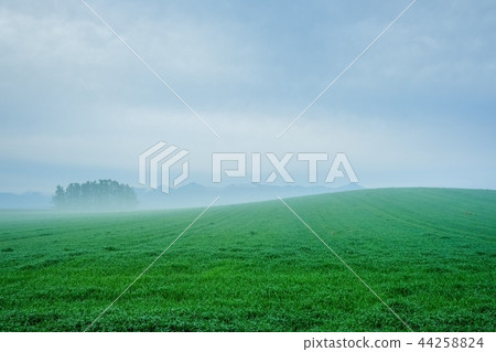 Asaka Plateau landscape Asaka Plateau landscape 44258824