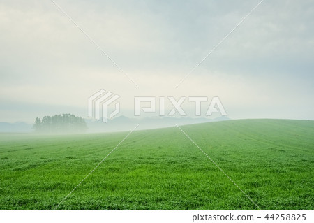 Asaka Plateau landscape Asaka Plateau landscape 44258825