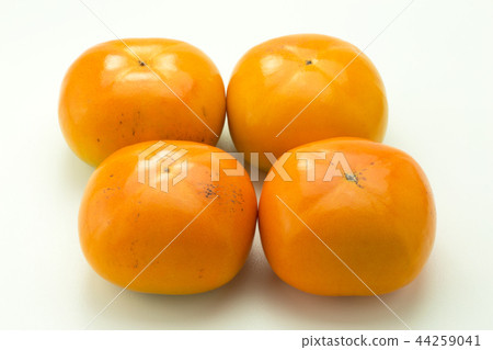 persimmon persimmon 44259041