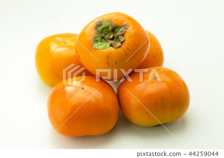 persimmon persimmon 44259044