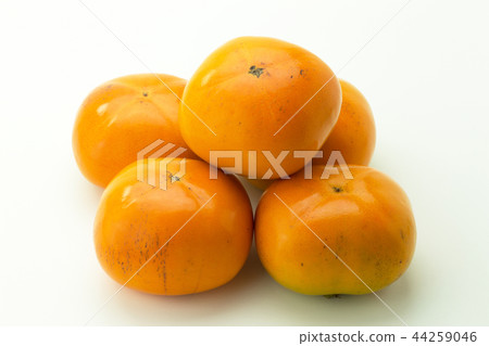 persimmon persimmon 44259046