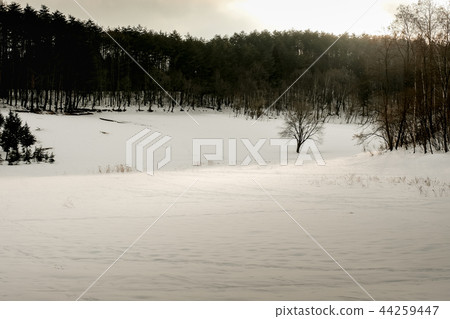 雪域 44259447