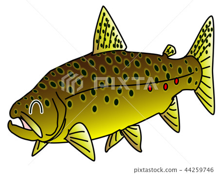 The beginning of the trout 44259746
