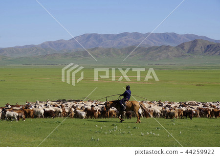 游牧民族追逐牲畜群 44259922