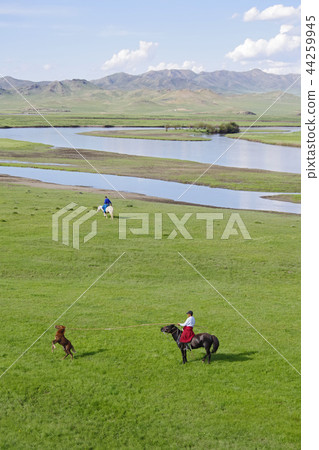 Nomads to catch a foal Nomads to catch a foal 44259945