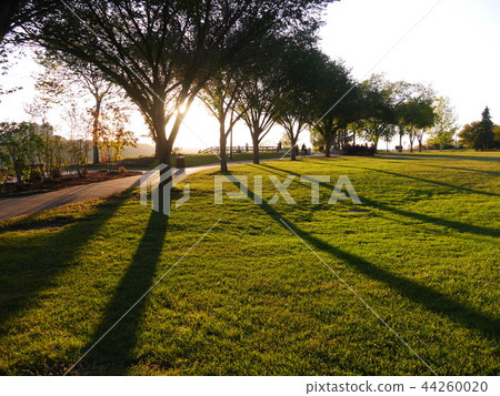 Victoria Park Trees and Shadows and Sunset 2 at Edmonton, Canada 44260020