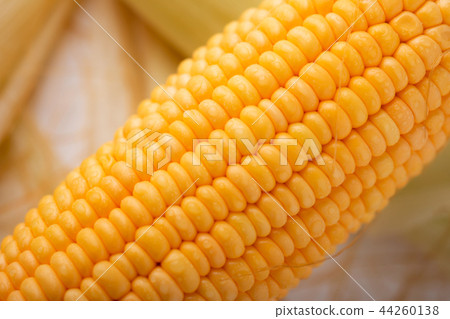 Close up shot Fresh ripe and peeled sweet corn 44260138