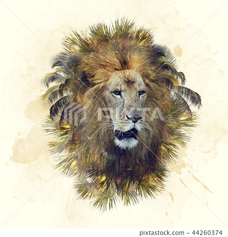 Double exposure of lion head and palm trees Double exposure of lion head and palm trees 44260374