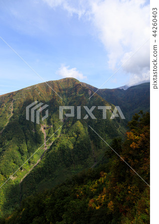 [Akita Prefecture] Toriumiyama Inakuradake Autumn leaves 44260403