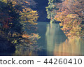 Lake Miyagase in the autumn 44260410
