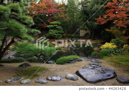 From Xuanji Temple 44263428