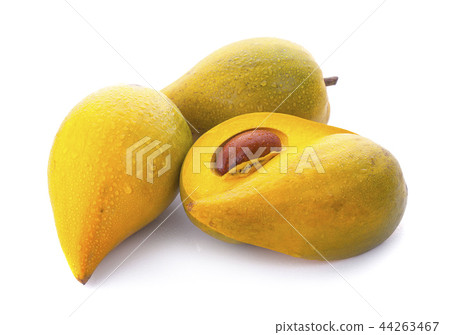 Egg fruit, Canistel, Yellow Sapote (Kunth) 44263467