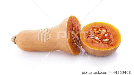 Butternut squash isolated on white background 44263468