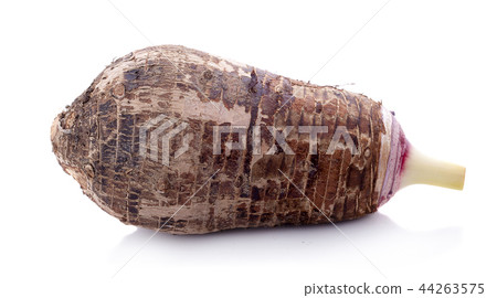 taro isolated on white background taro isolated on white background 44263575