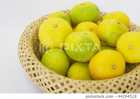 早期的成熟的普通話的圖像在竹籃子的 44264528