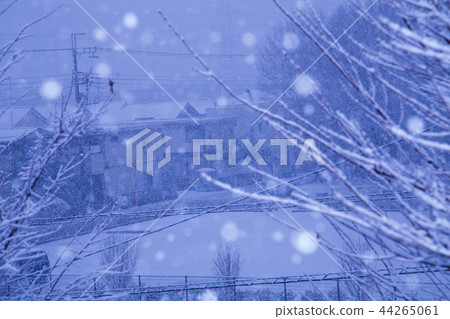 Snow scene Snow scene 44265061