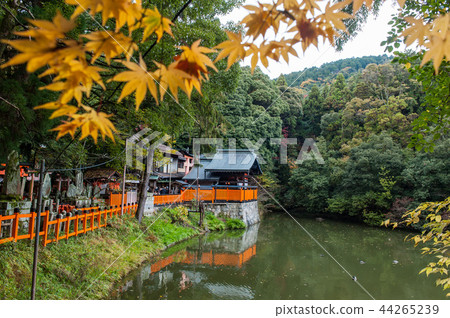 Inariyama's new pond (Kashigaike) in the fall of Kyoto Inariyama's new pond (Kashigaike) in the fall of Kyoto 44265239