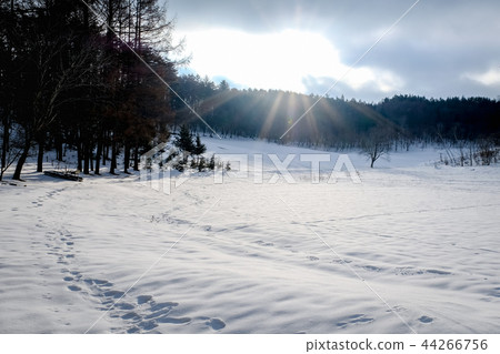 Snowy field 44266756