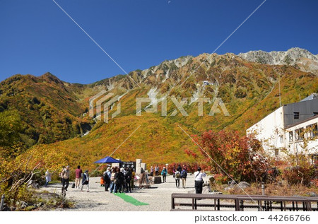 立山山脈和Kurobehira站包裹在秋天的落葉 立山山脈和Kurobehira站包裹在秋天的落葉 44266766