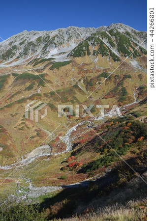 Tateyama腳在秋葉包裹 Tateyama腳在秋葉包裹 44266801