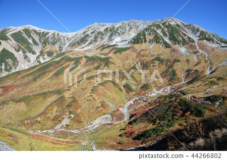 Tateyama腳在秋葉包裹 Tateyama腳在秋葉包裹 44266802