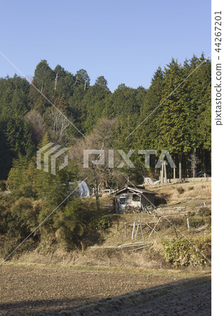 農村地區 農村地區 44267201
