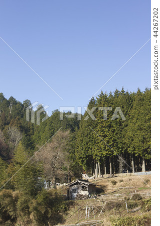 rural rural 44267202