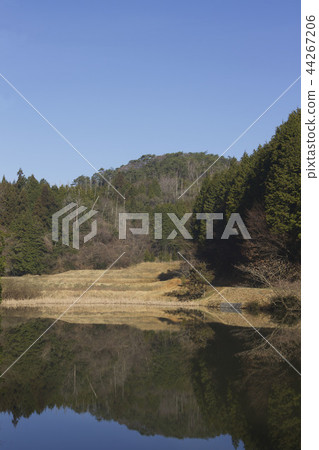 池塘和山 池塘和山 44267206