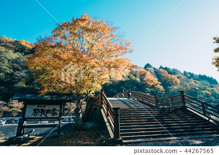 奈良Inako Kiso橋 44267565